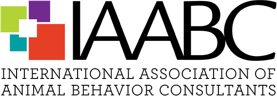 Colorful logo with interconnected squares and the text 'The Power of Your Mind'