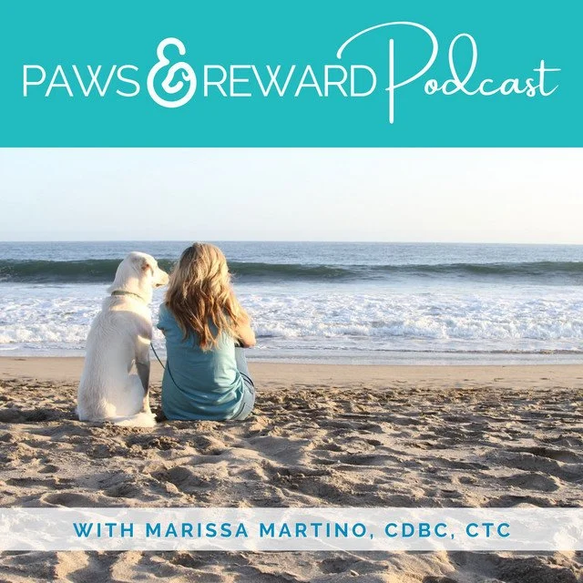 A girl sitting on the beach with her dog, looking at the ocean, with the logo and title of 'Paws & Reward Podcast' and host Marissa Martino, CBDC, CTC.