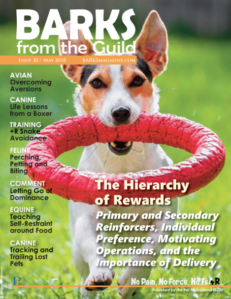 A dog with one ear up and one ear down holding a red rubber ring in its mouth, standing on grass. Cover of BARKS magazine with headlines about canine behavior and training.