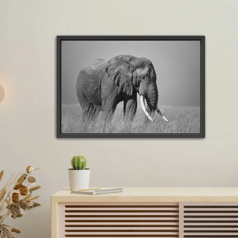 GentleGiant-FloatFrame-Canvas.jpg