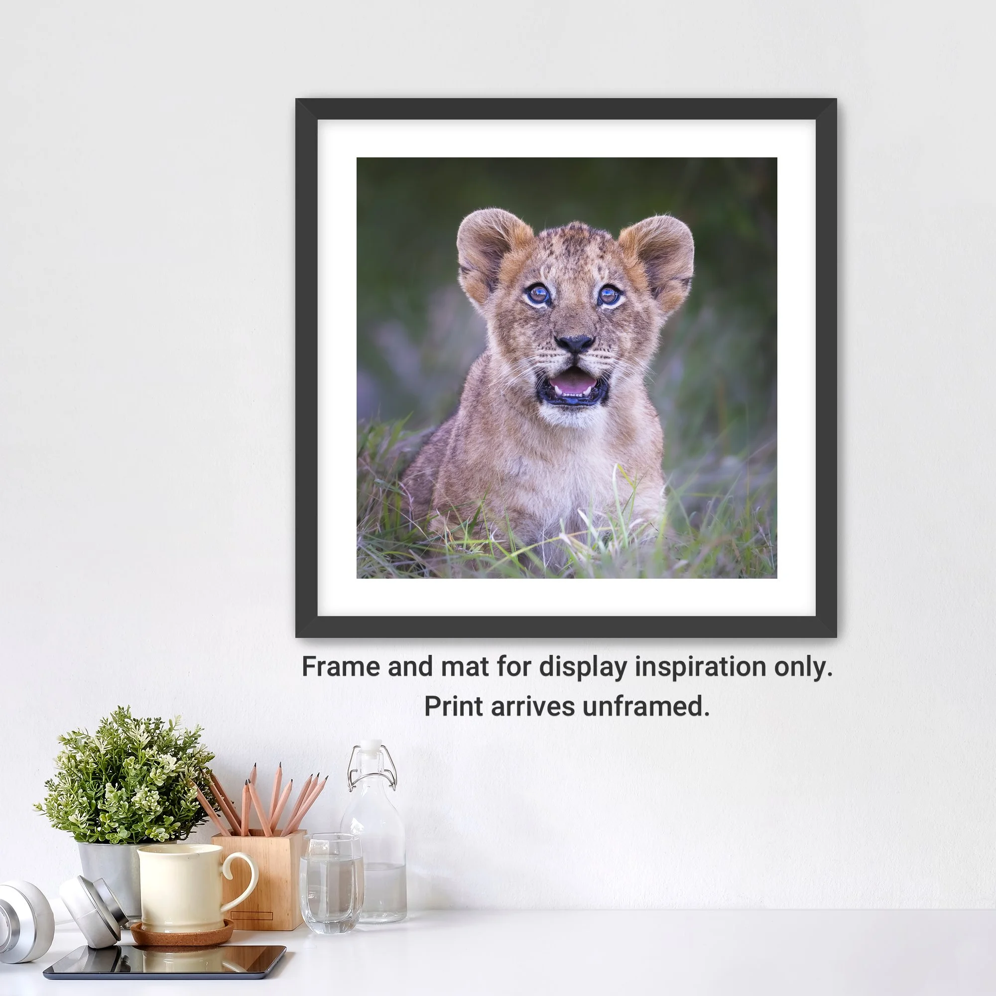 CuriousCub-Framed-FineArt-WhiteMat-cap.jpg