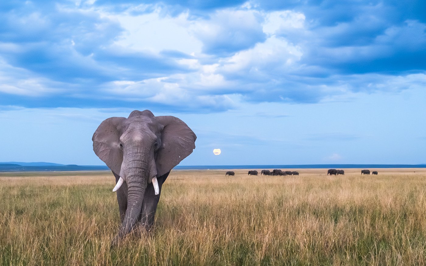 Serene Mara Evening