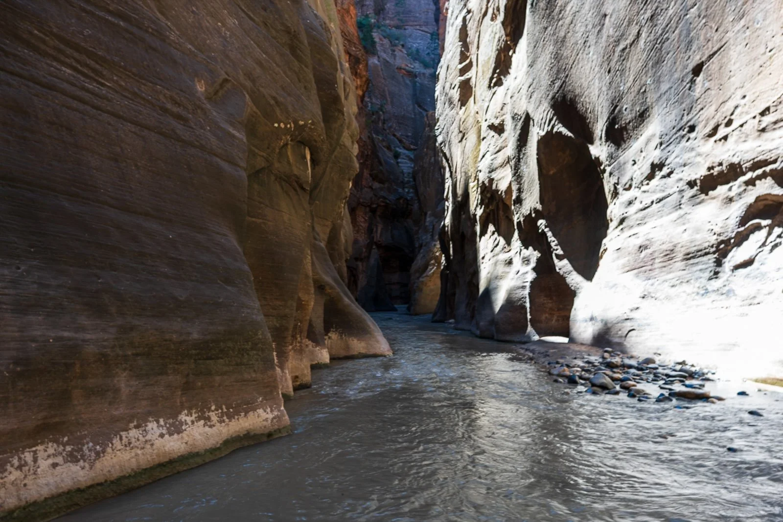 Narrows, Zion National Park