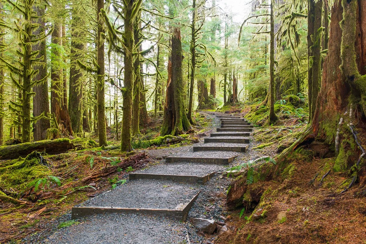 Step into the Nature