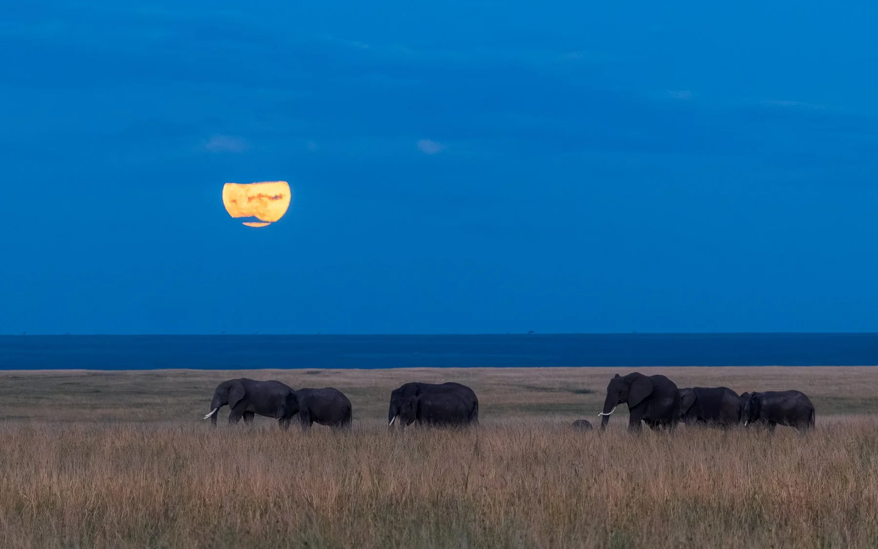 Moon rise at sunset, Masai Mara