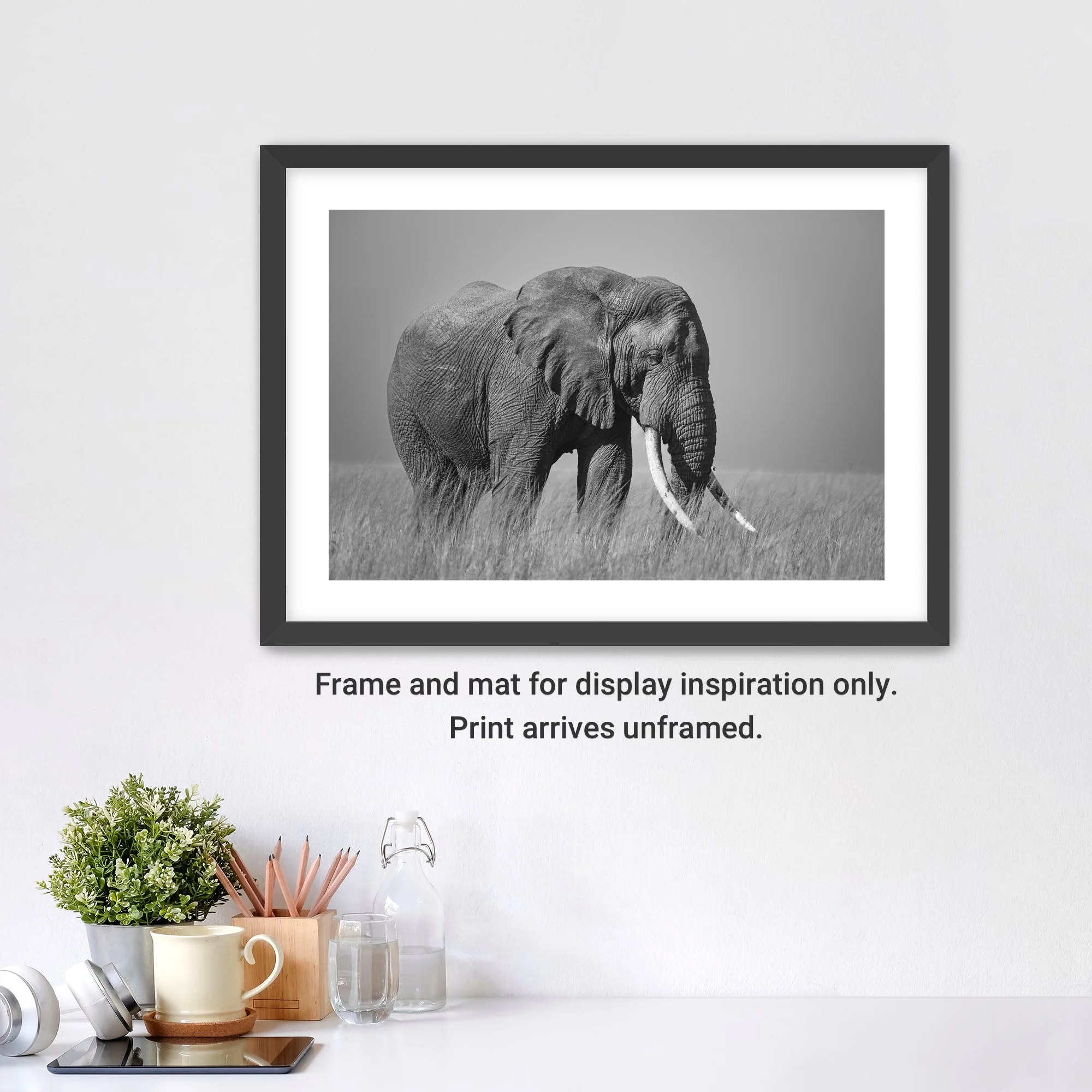 GentleGiant-Framed-FineArt-WhiteMat-cap.jpg
