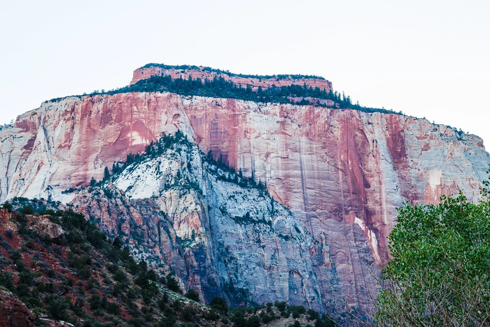 Zion Narional Park