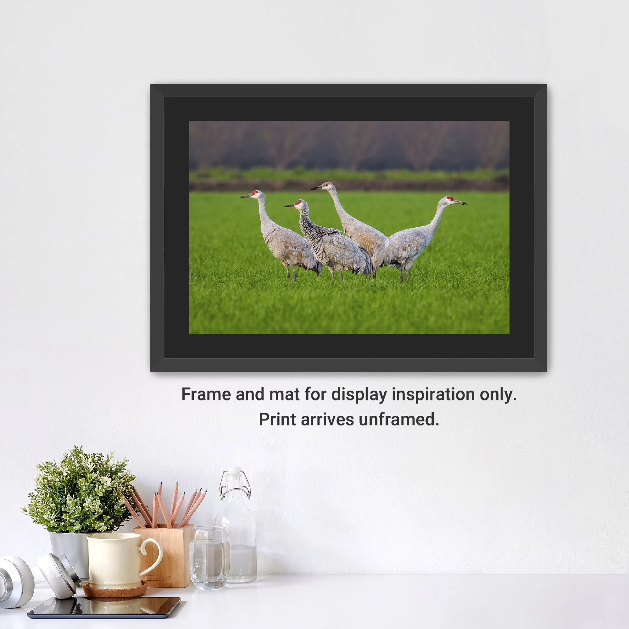 SandhillCranes-Framed-FineArt-2x3-BlackMat-cap.jpg