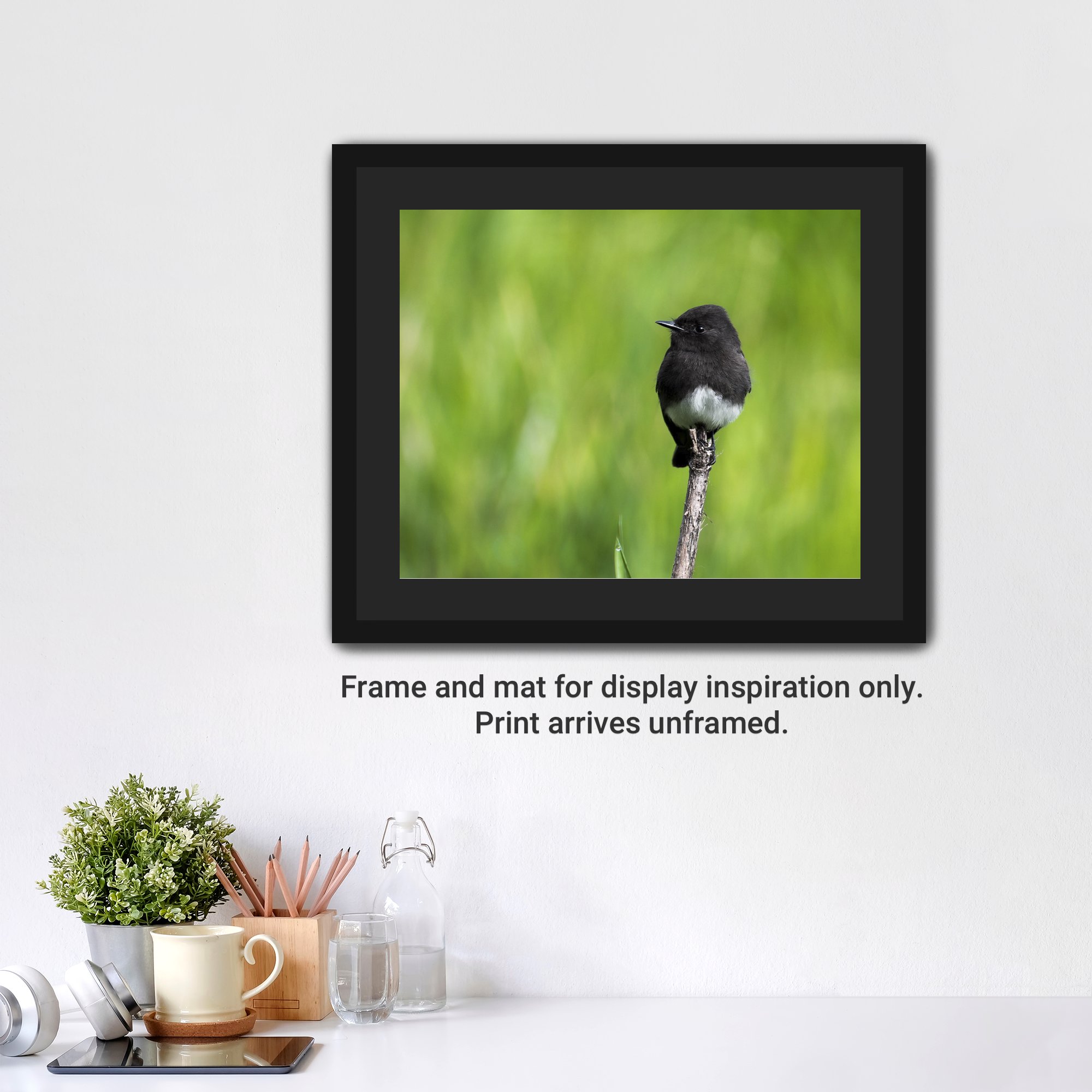 BlackPhoebe-Framed-FineArt-BlackMat-cap.jpg