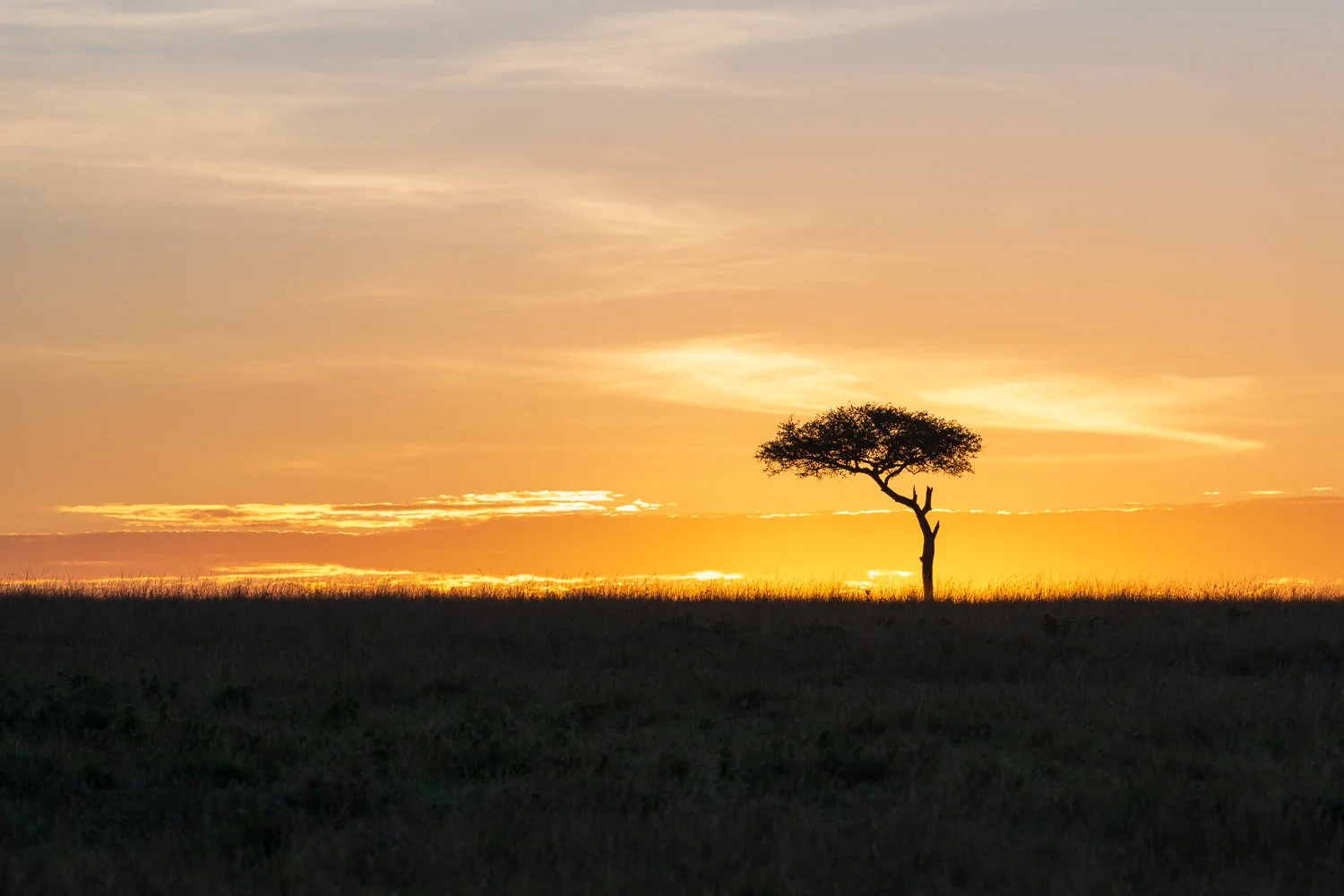 Sunrise Masai Mara