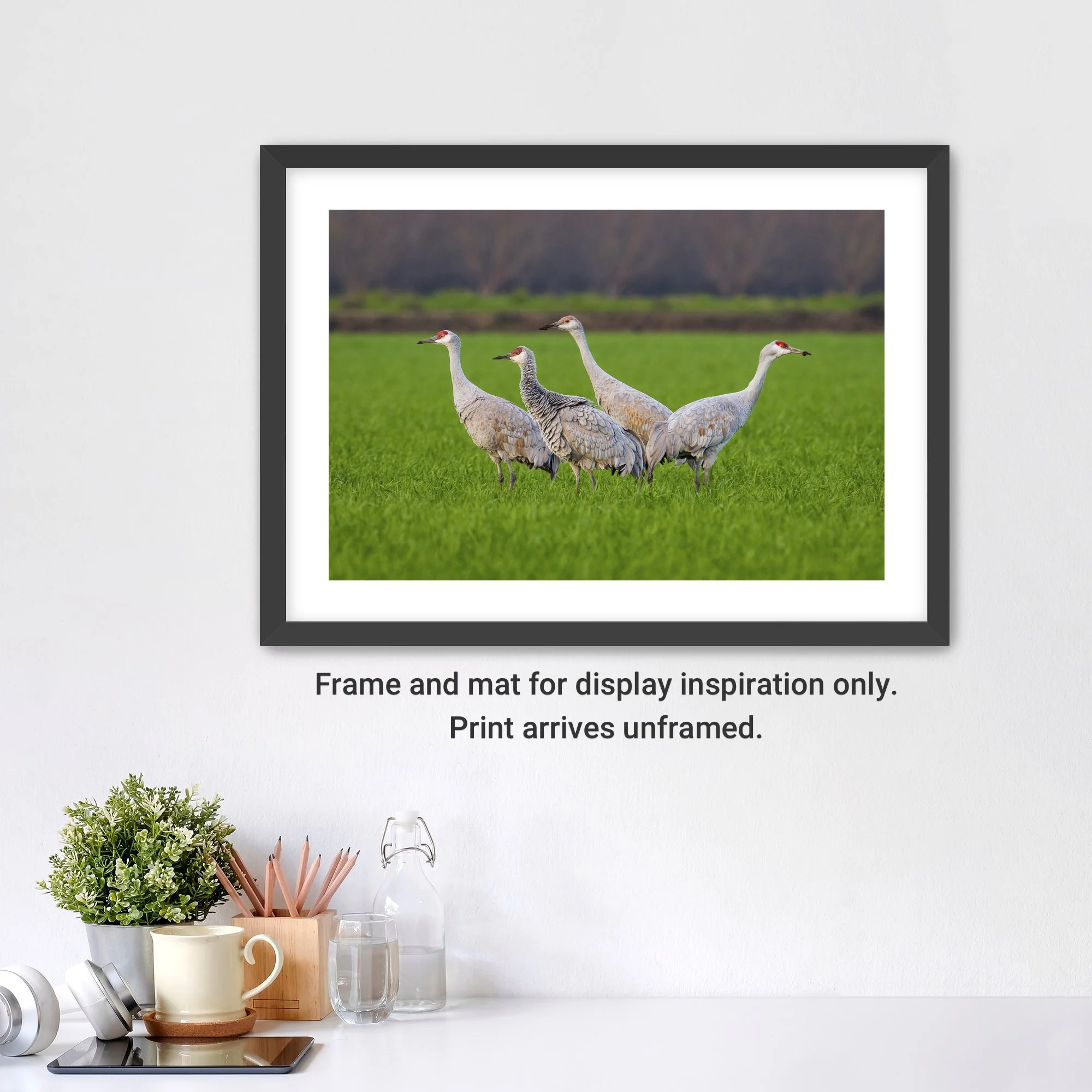 SandhillCranes-Framed-FineArt-2x3-WhiteMat-cap.jpg