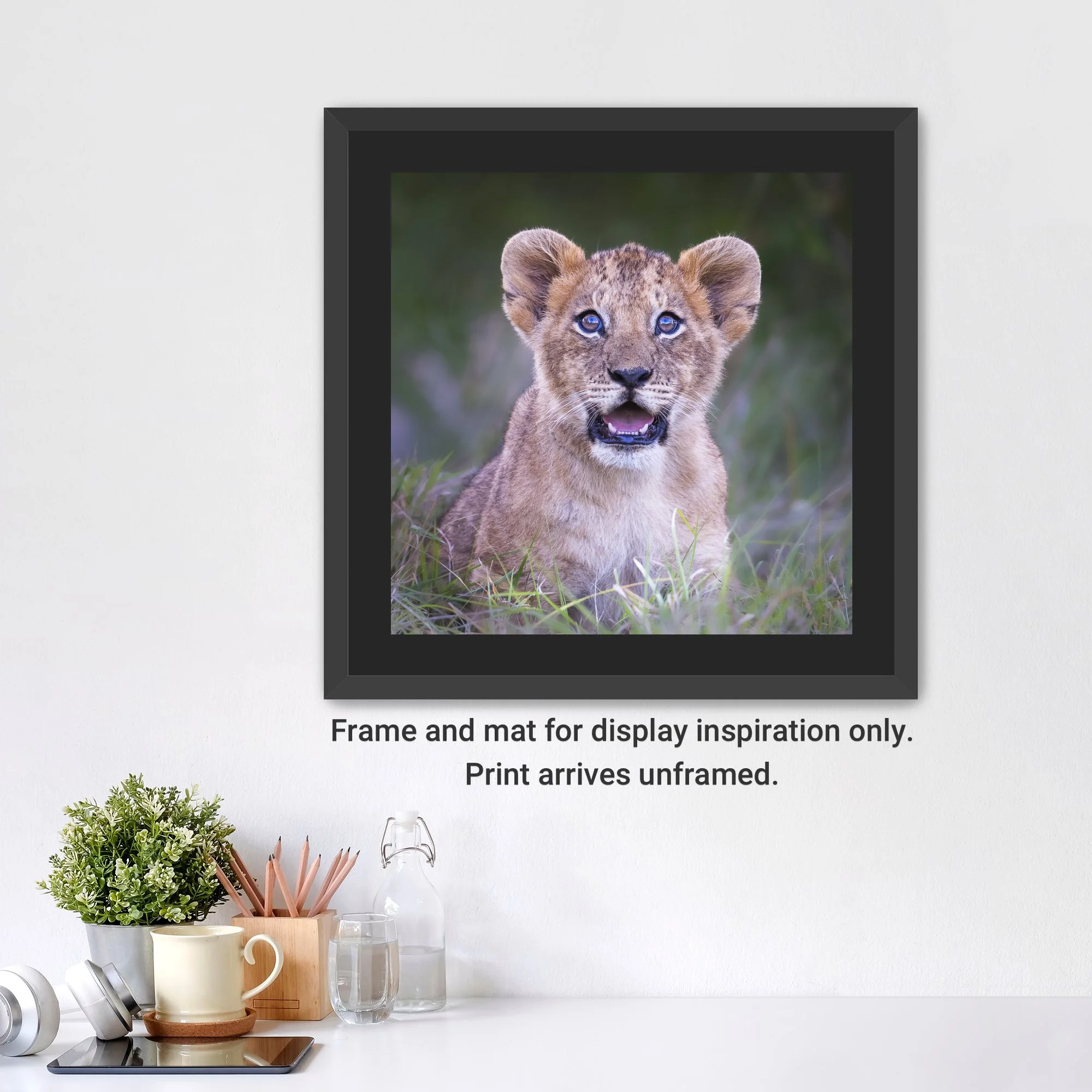 CuriousCub-Framed-FineArt-BlackMat-cap.jpg