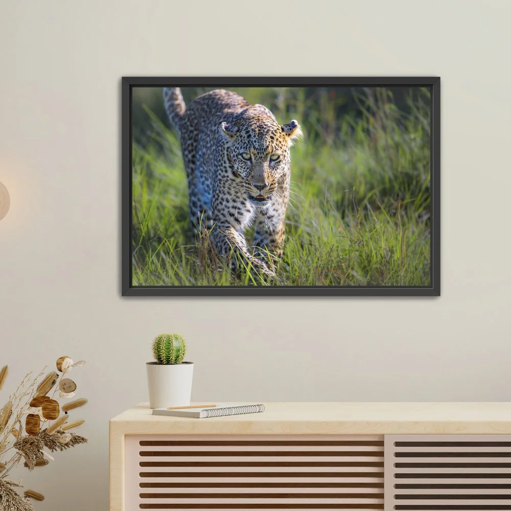 TheLeopardStare-FloatFrame-Canvas.jpg