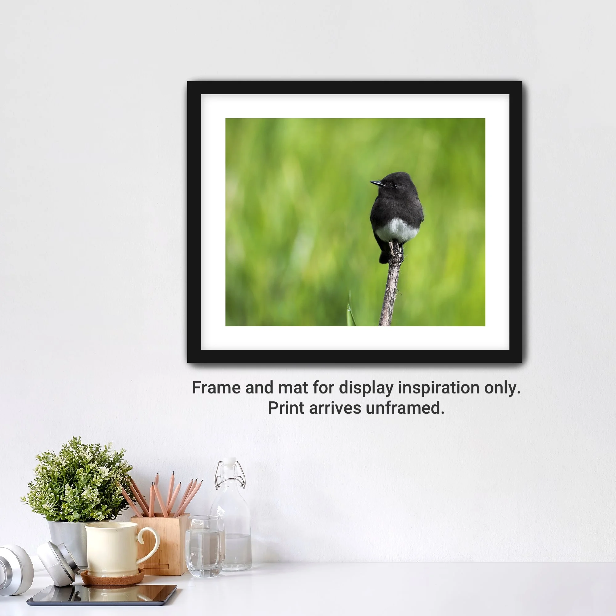BlackPhoebe-Framed-FineArt-WhiteMat-cap.jpg