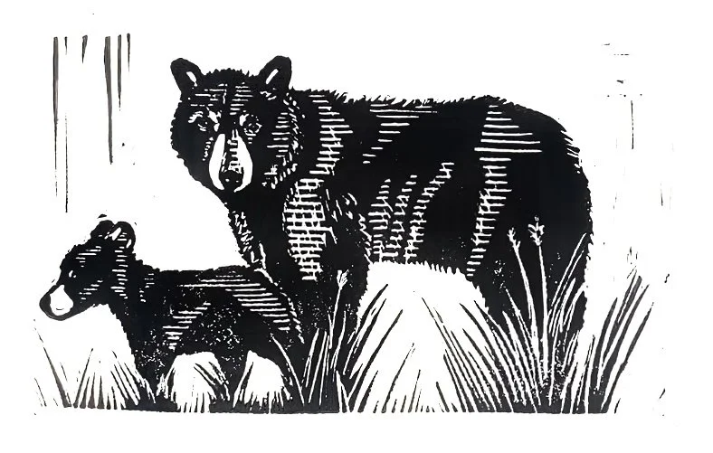 Mother Bear - 7