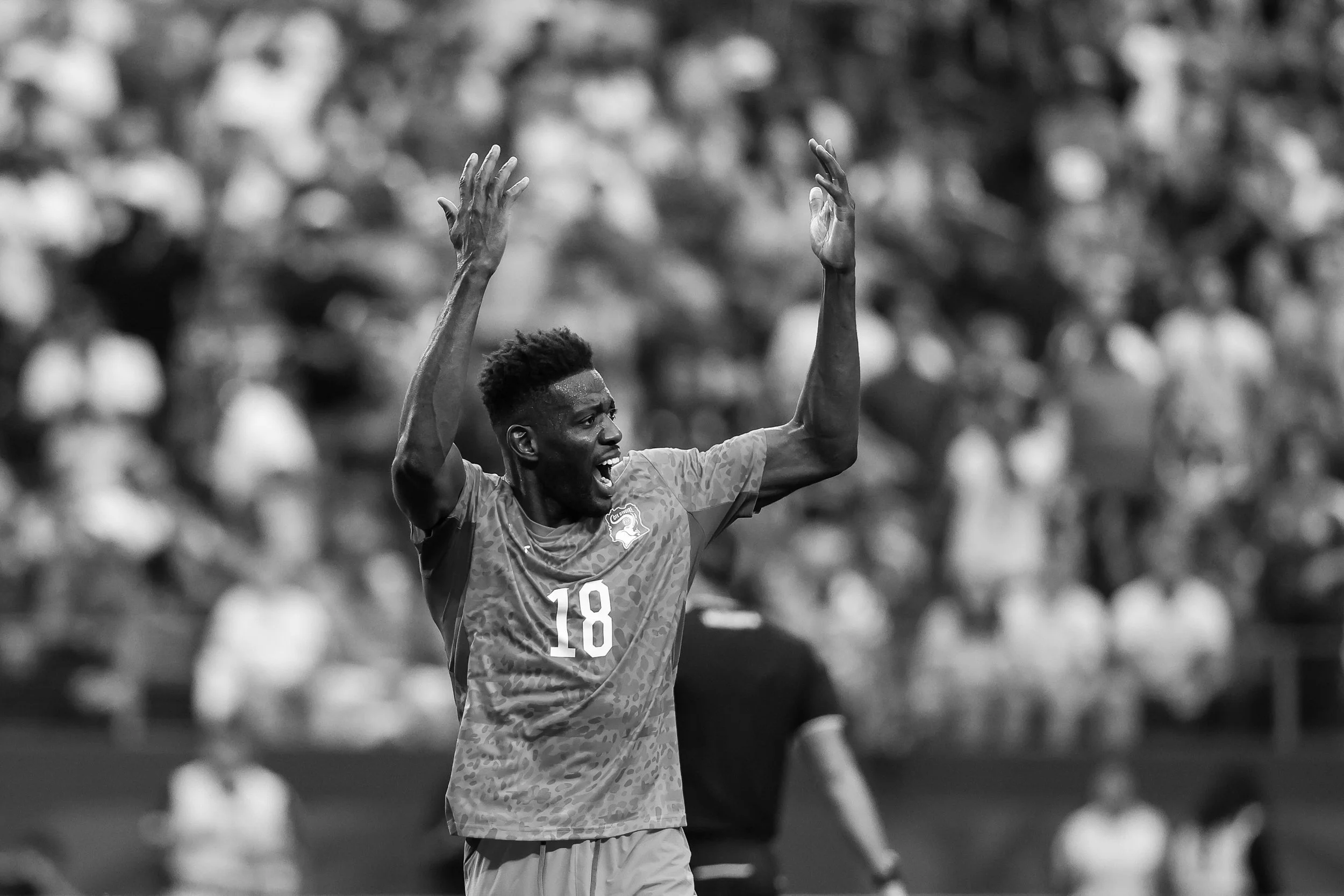 worldcup-sports-photographer-aricbecker045.JPG