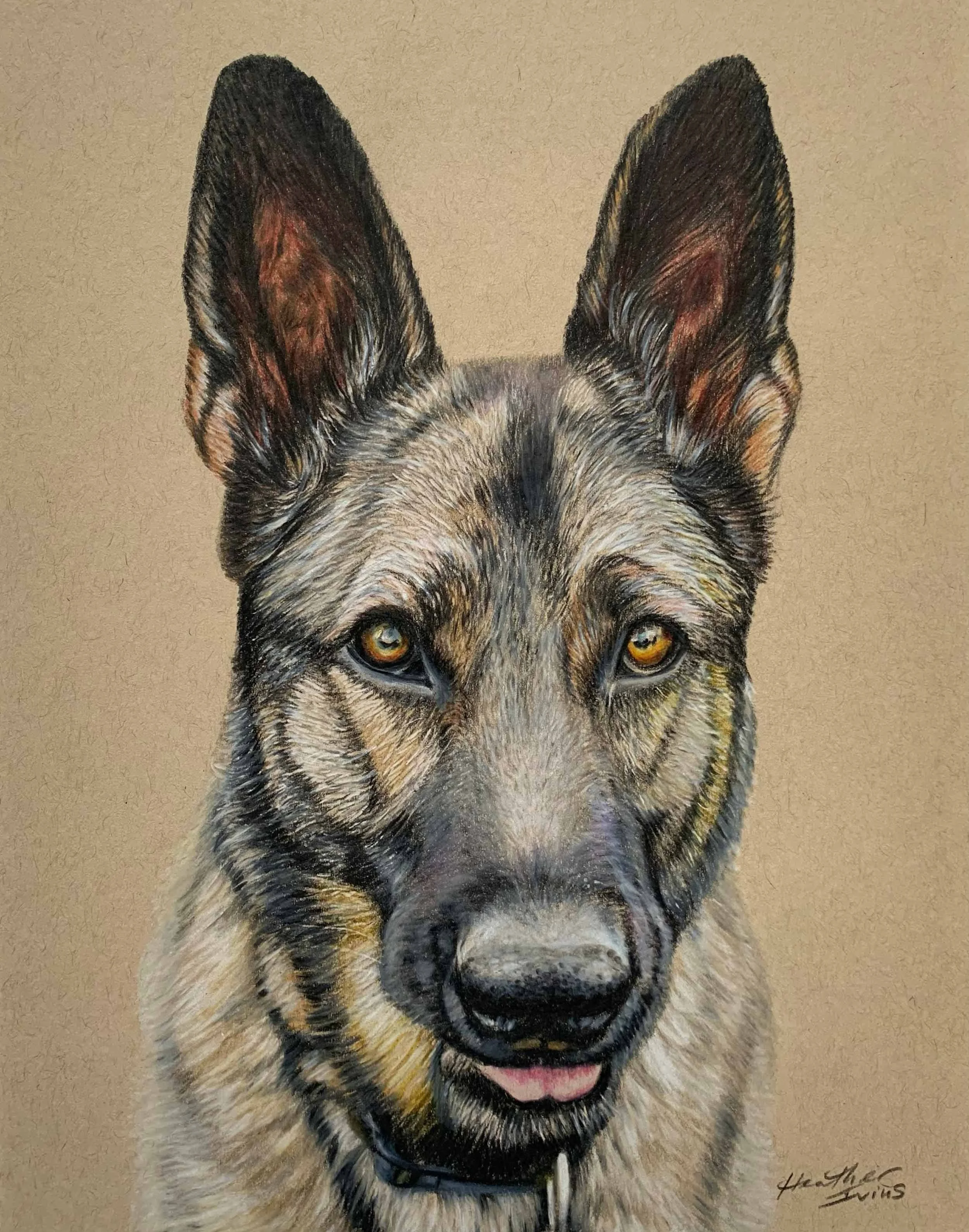 heatherivins_commissions_pet_portrait_cal.jpg