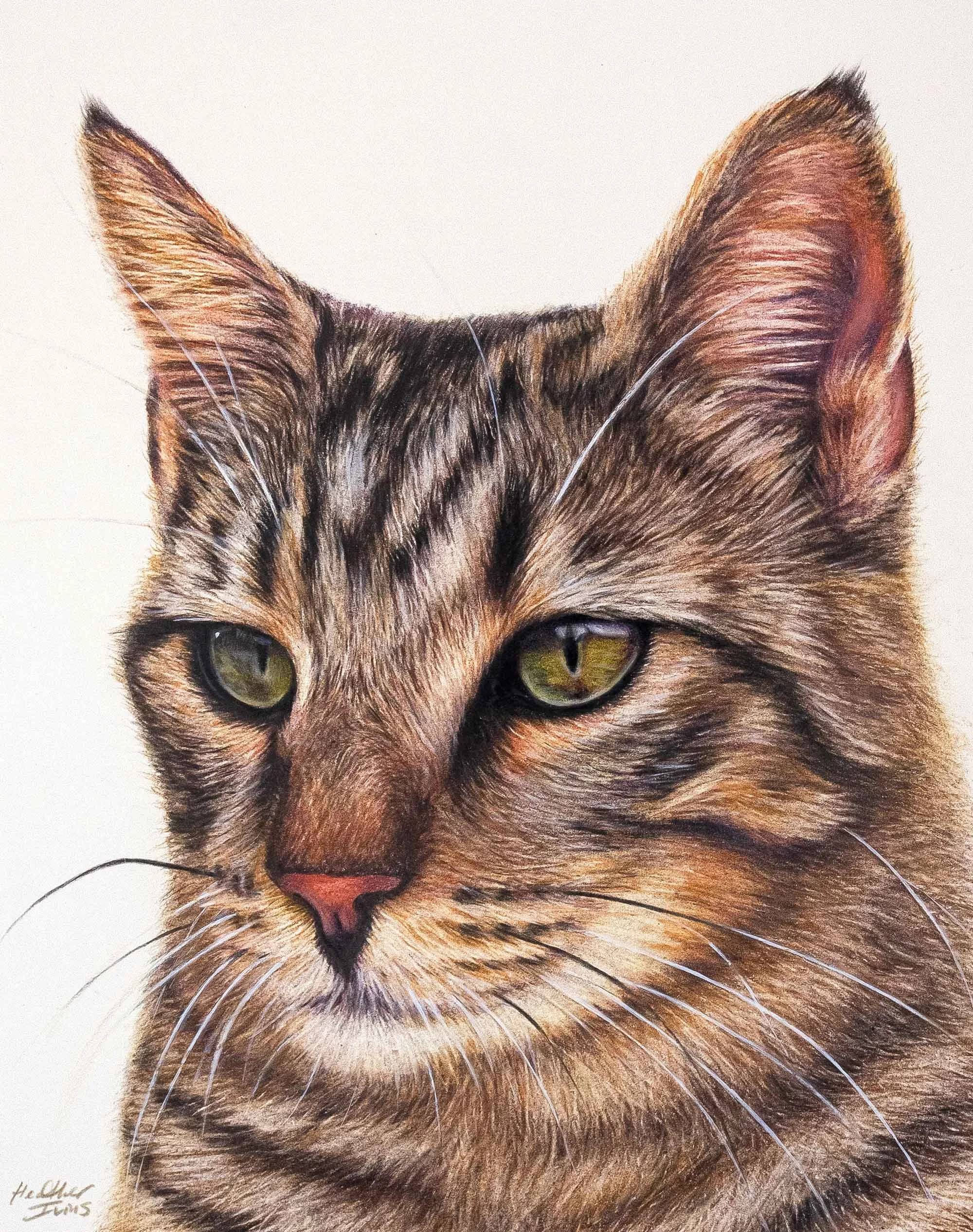 heatherivins_commissions_pet_portrait_oats.jpg