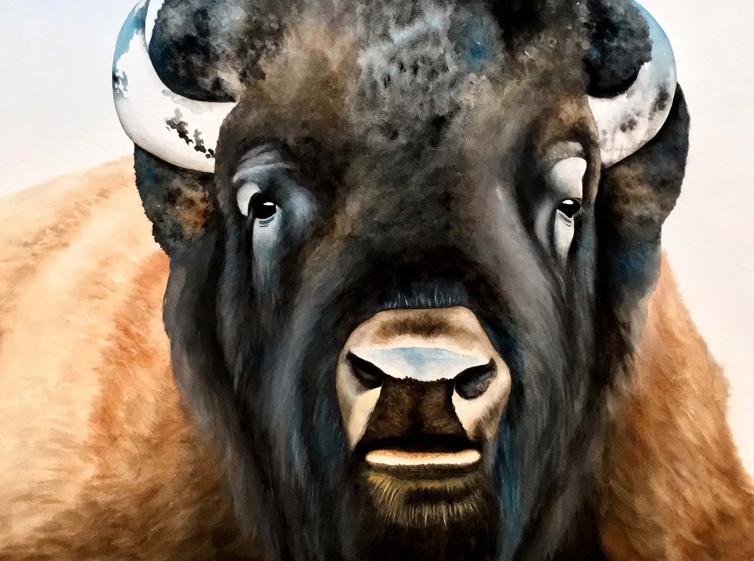 heatherivins_commissions_bison.jpg