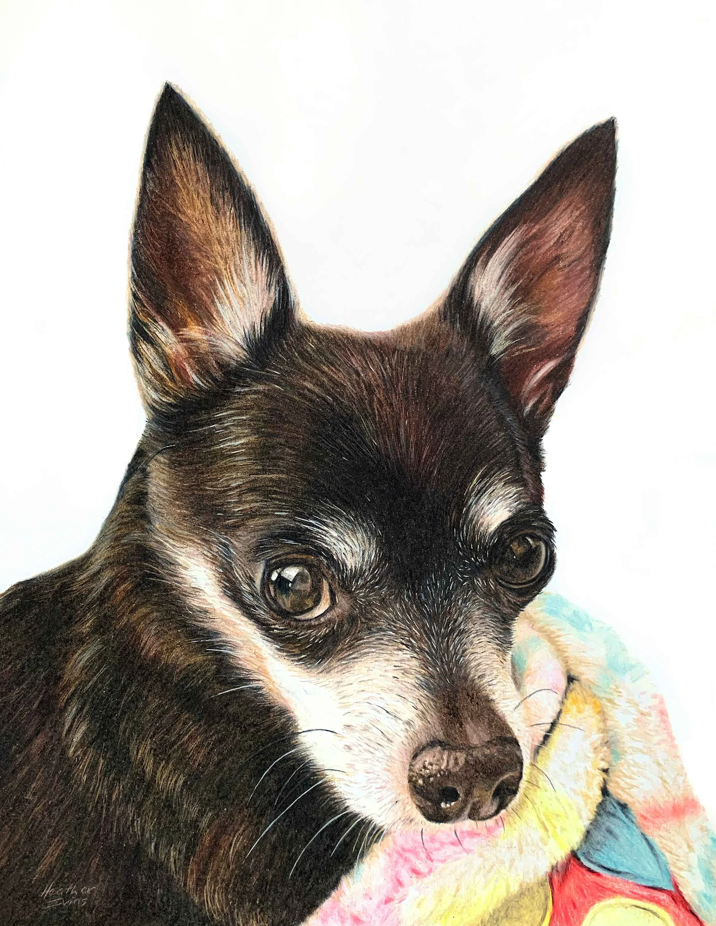 heatherivins_commissions_pet_portrait_gigi.jpg