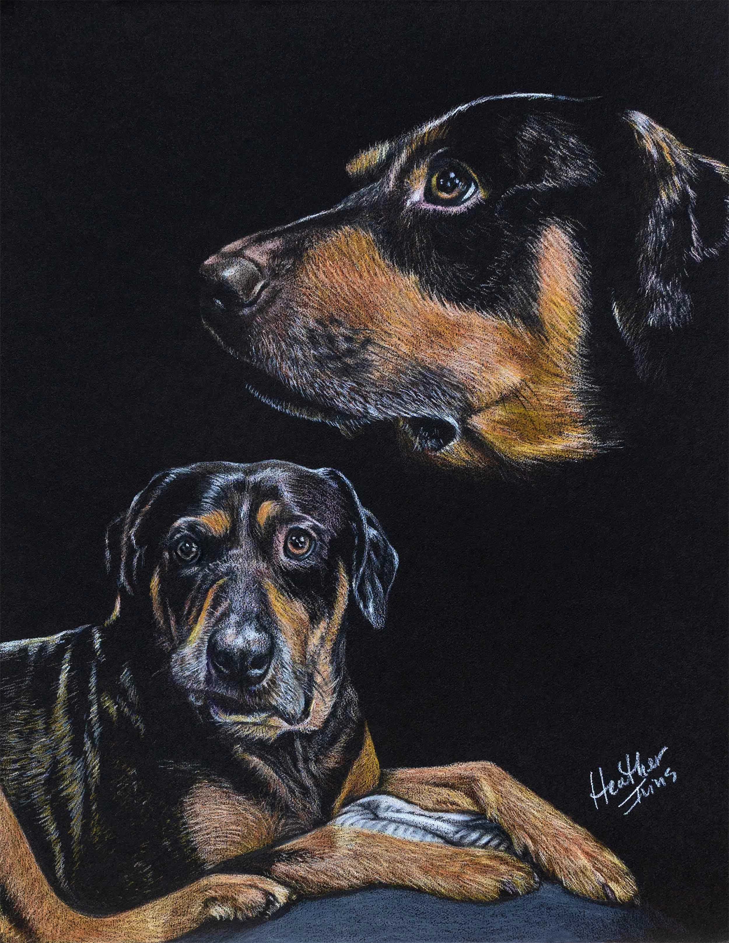 heatherivins_commissions_pet_portrait_lil_joe.jpg