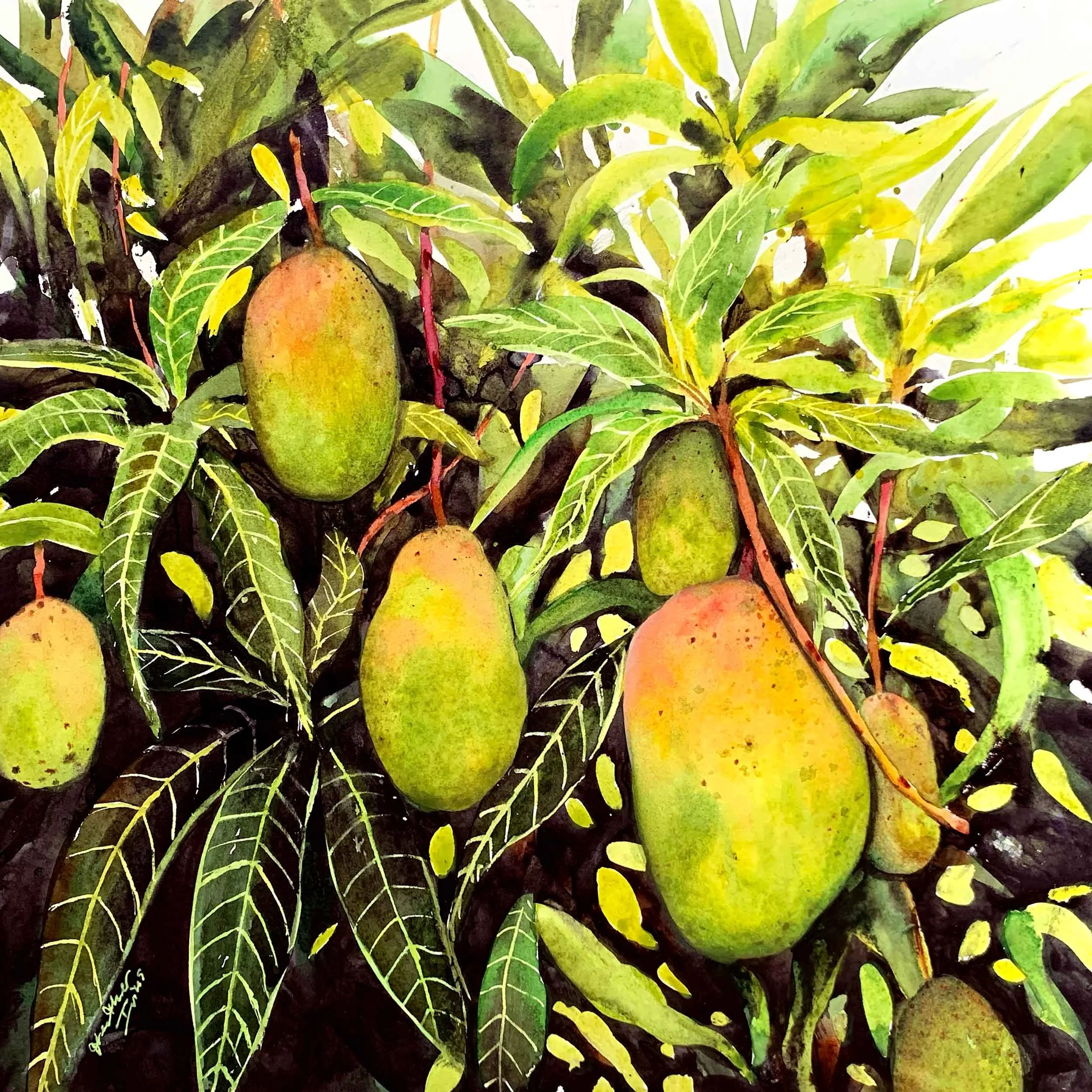 heatherivins_artwork_coconut_cream_mangoes.jpg
