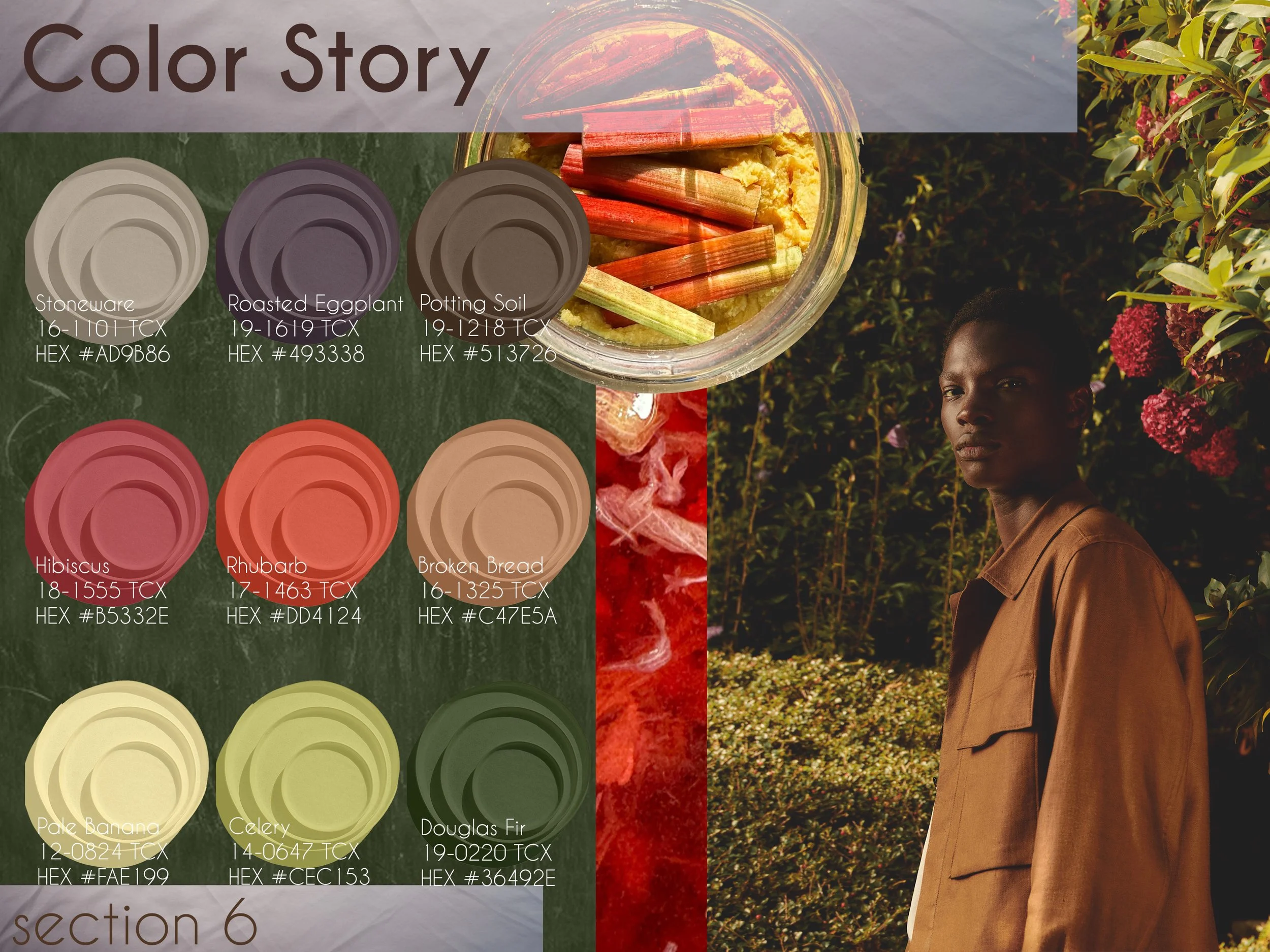 Color Story.jpg