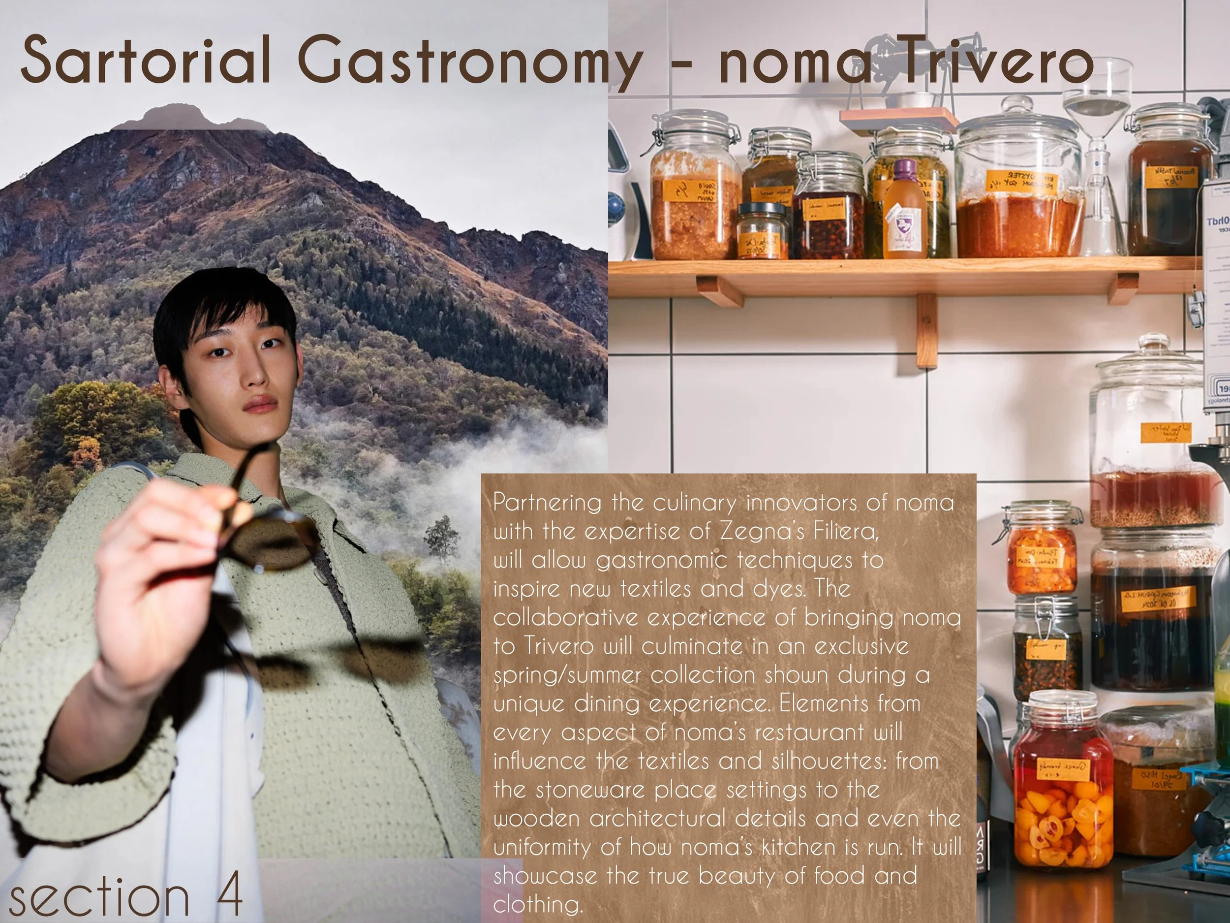 Introduction to the Concept.jpg