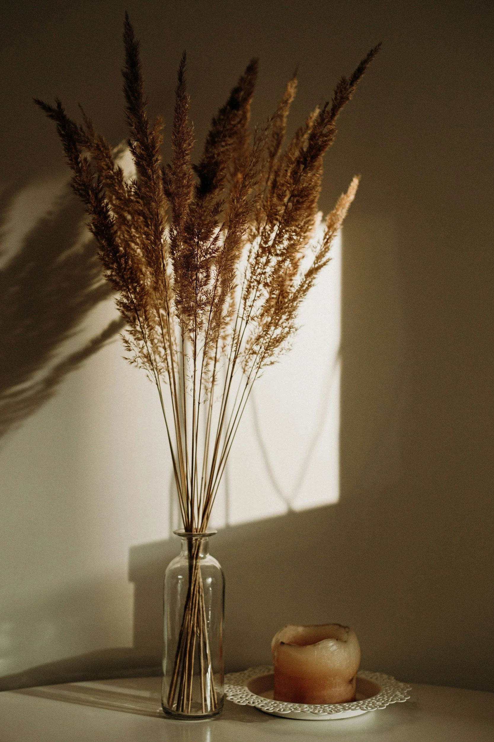 A clear glass vase holding dried pampas grass on a white surface, casting shadows on the wall behind. Next to the vase, there's a round candle with a textured surface placed on a decorative white lace doily.