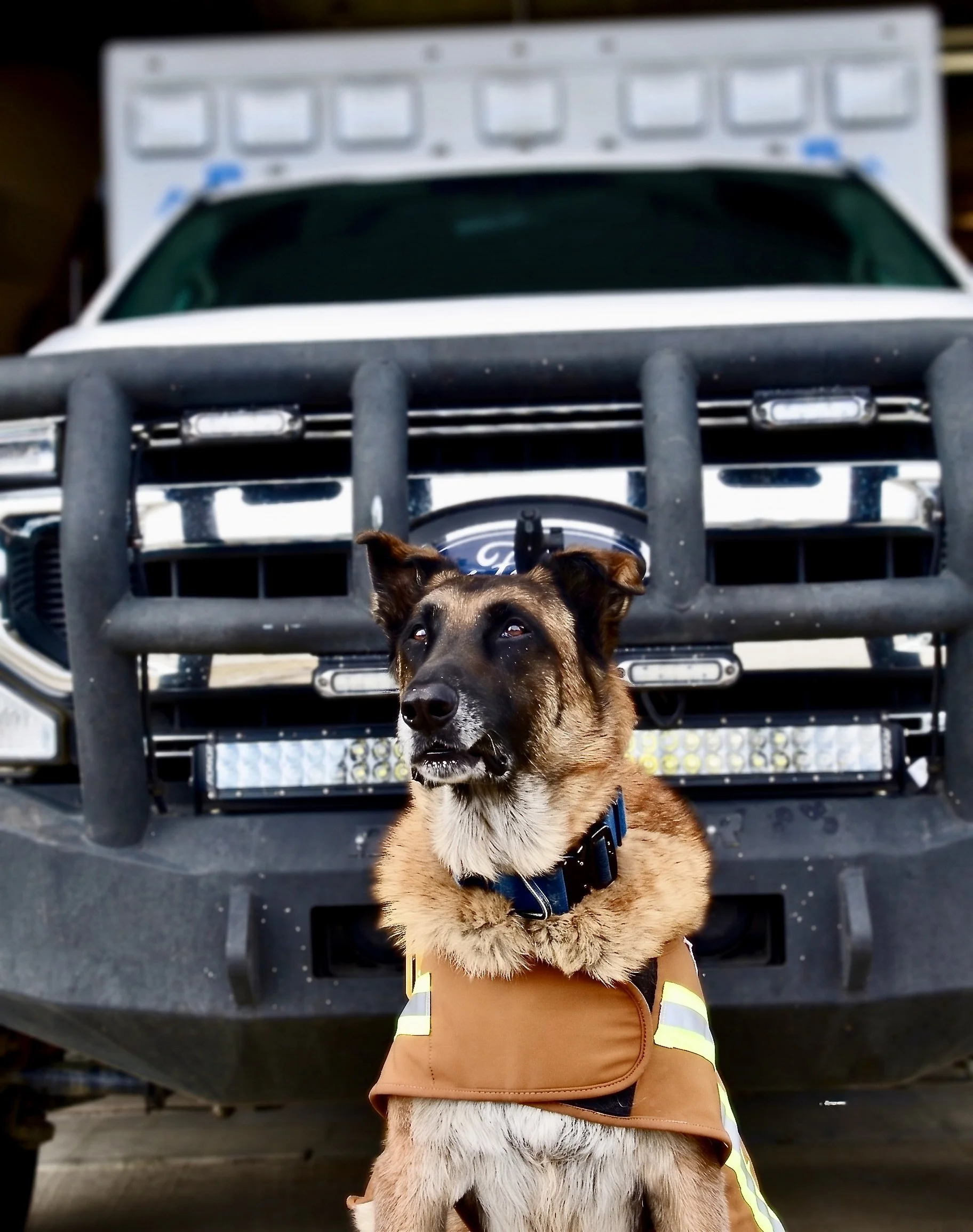 Animated dog dressed as a firefighter in red uniform and helmet.