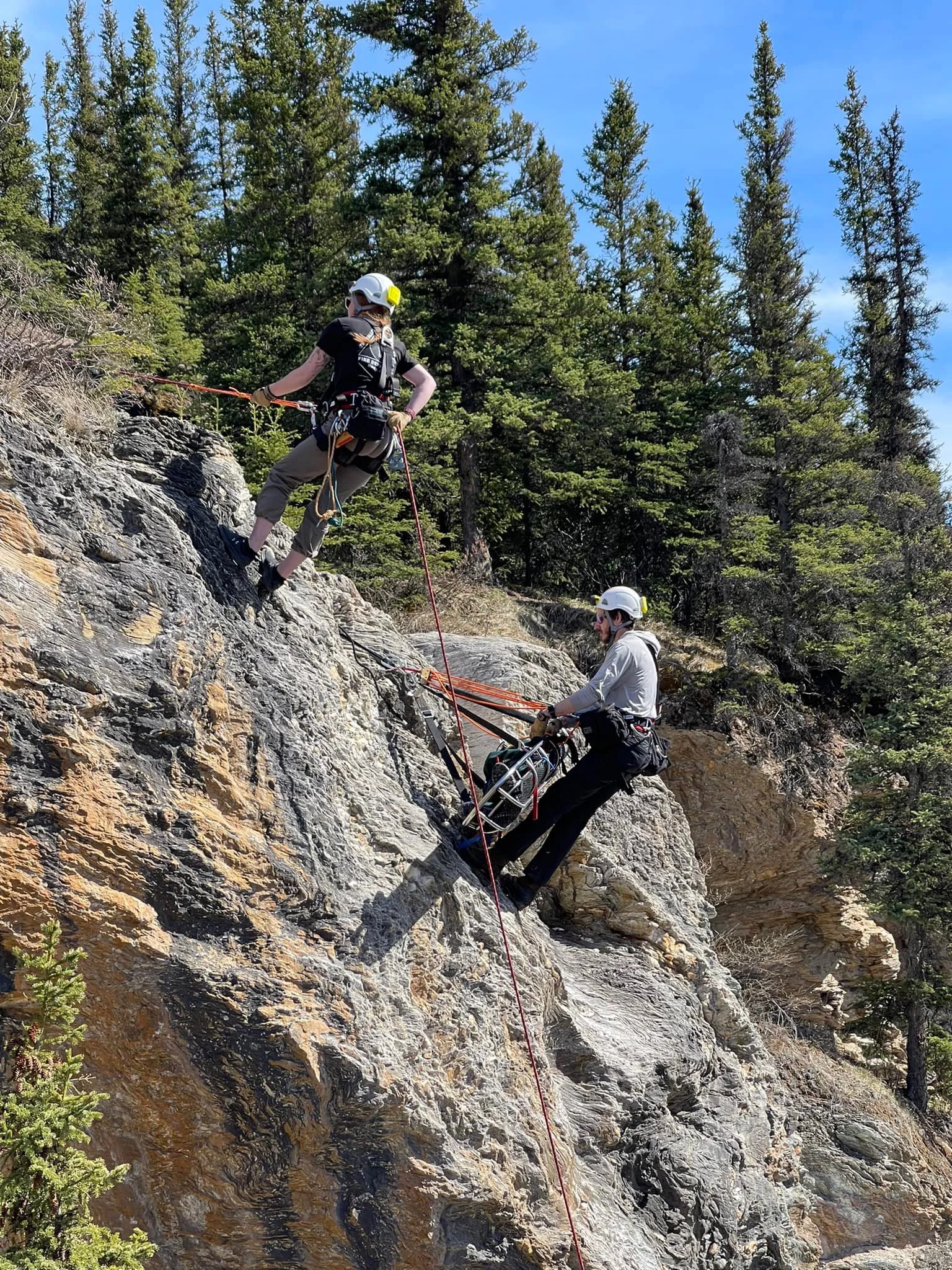 Two people are rock climbing on a steep rocky slope surrounded by pine trees, with one person helping the other to ascend.