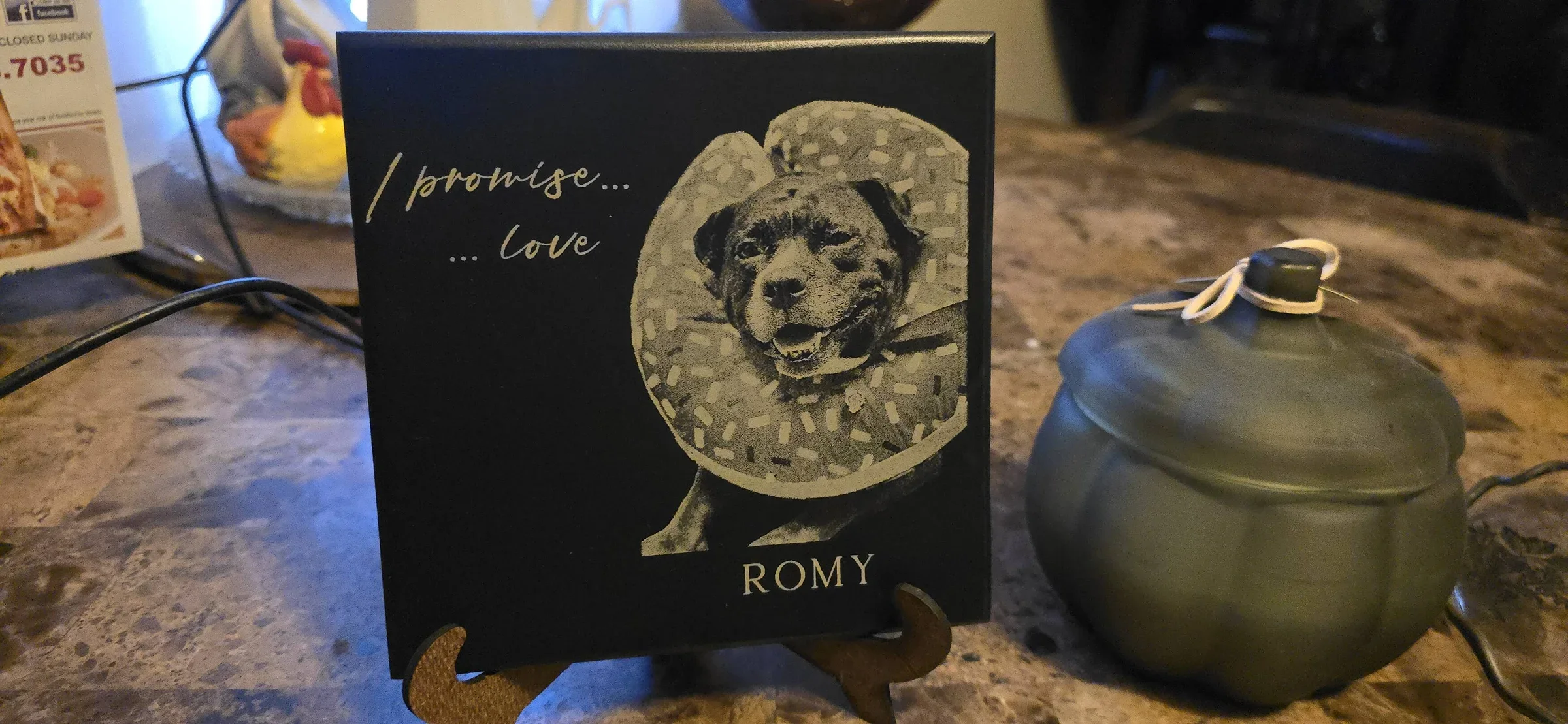 Custom Pet Memorial