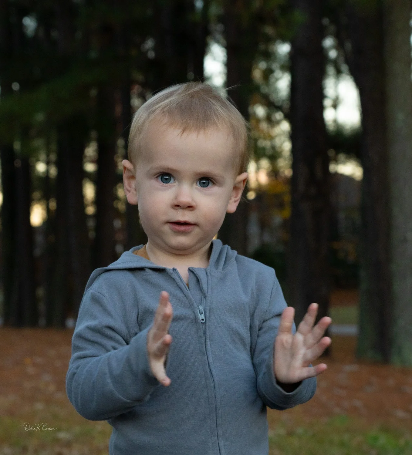 Young boy standing in woods with hands slightly raised