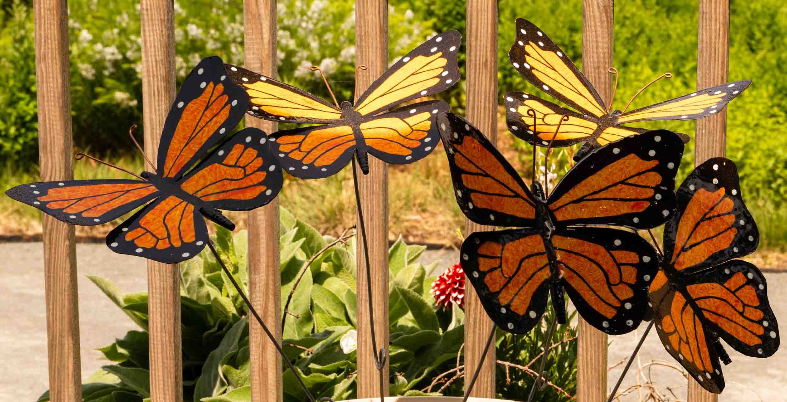 Butterfly kite