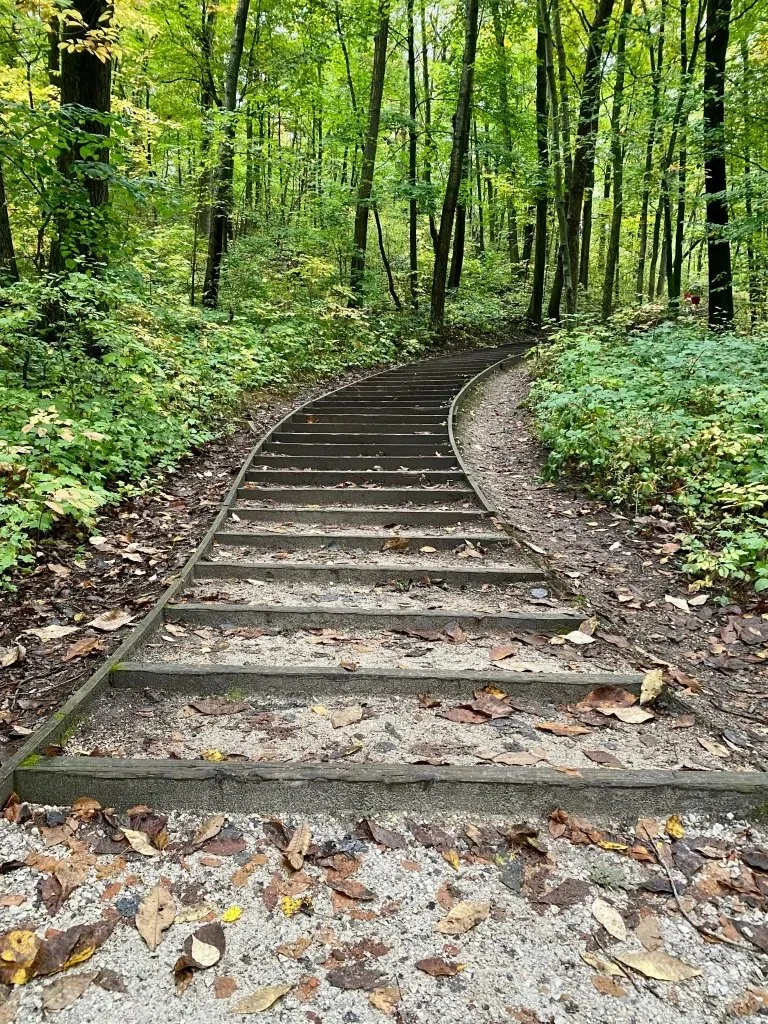 A stairway leading up along a trail througha wooded area.