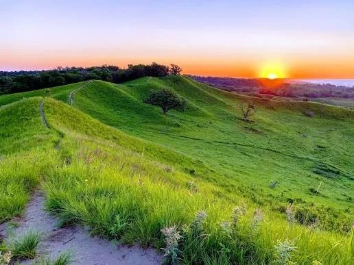 Green rolling hills with a dirt trail, trees, and a sunset sky.