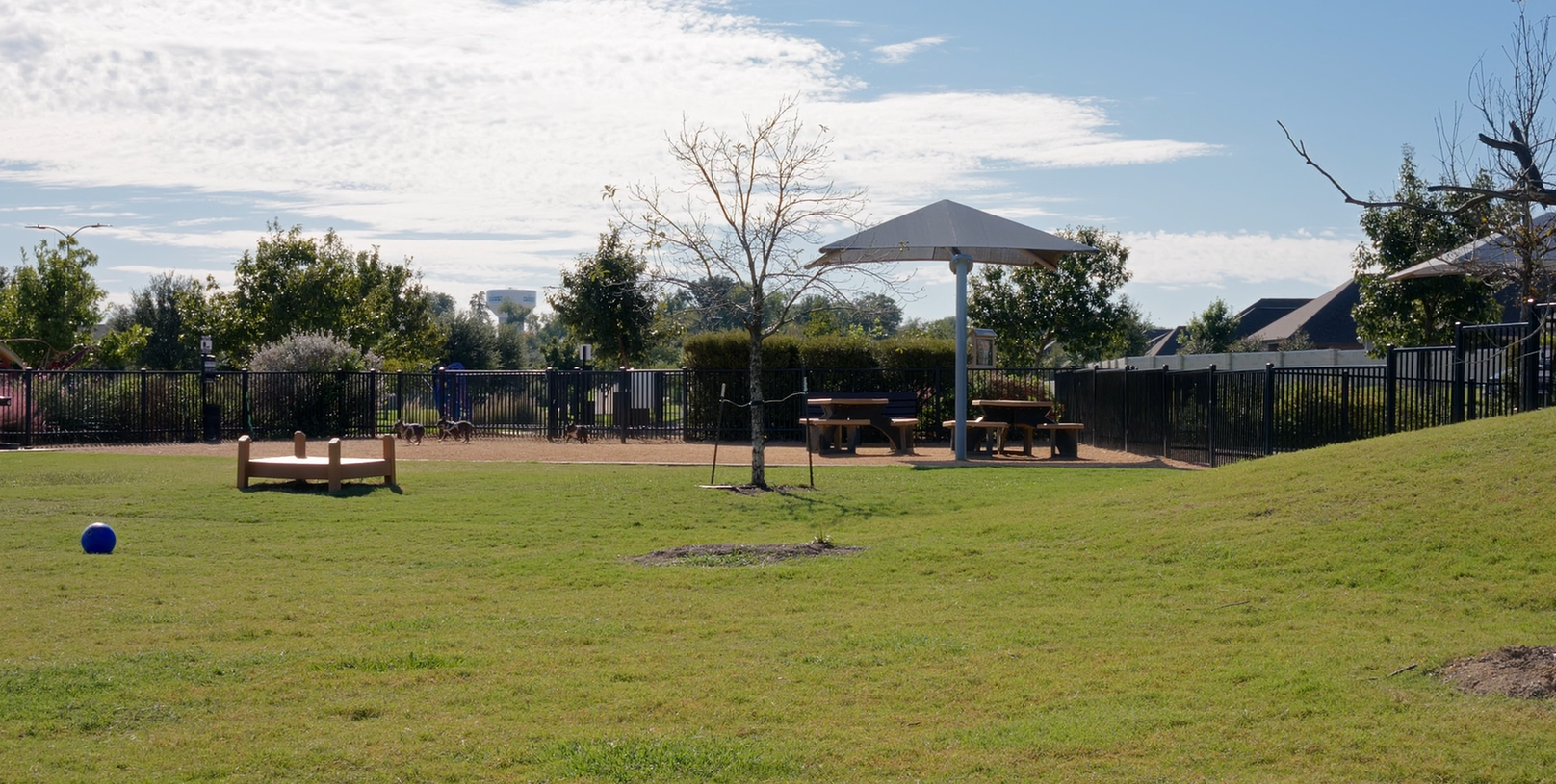 Old Joe Dog Park in Trinity Falls McKinney TX