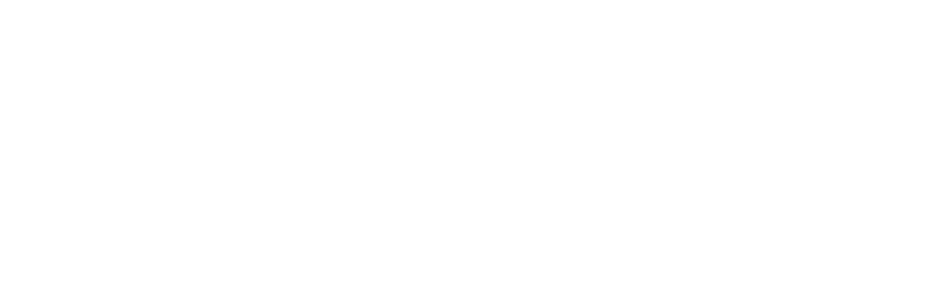 Q Beef Noodles