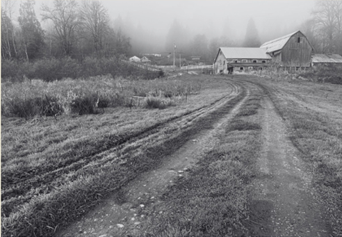 Black and white photograph of the farm lane and barn at Indigo Skies Farm in the Snoqualmie Valley
