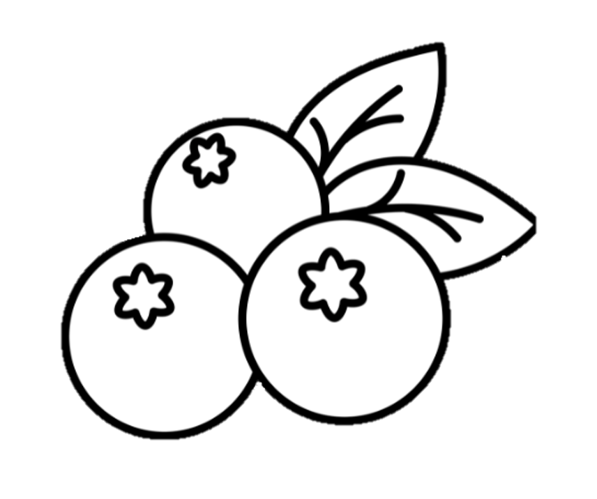 Hand-drawn blueberry icon representing organic blueberries at Indigo Skies Farm