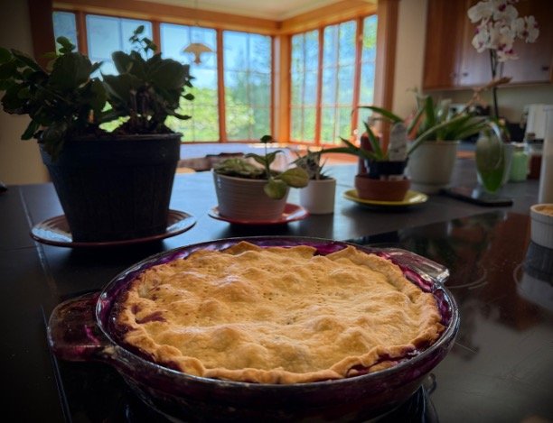 Freshly baked bluebarb pie made with blueberries and rhubarb at Indigo Skies Farm in the Snoqualmie Valley