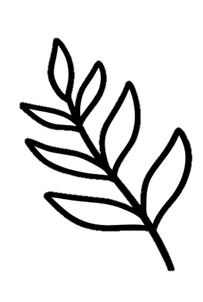 Fern illustration representing organic farming and stewardship at Indigo Skies Farm