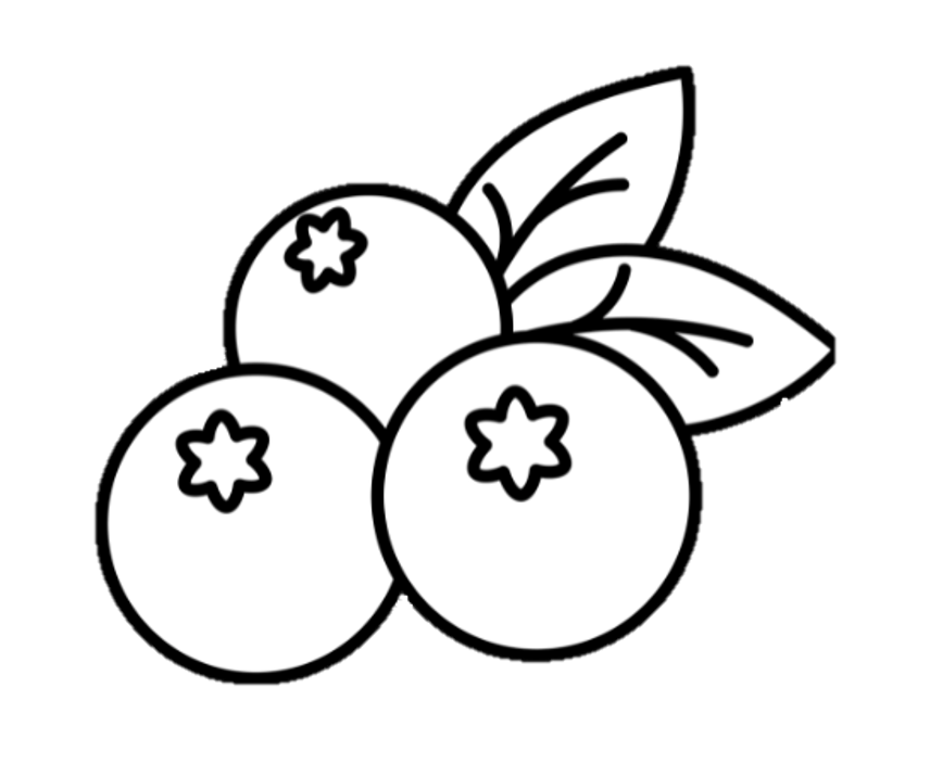 Hand-drawn blueberry icon representing organic blueberries at Indigo Skies Farm