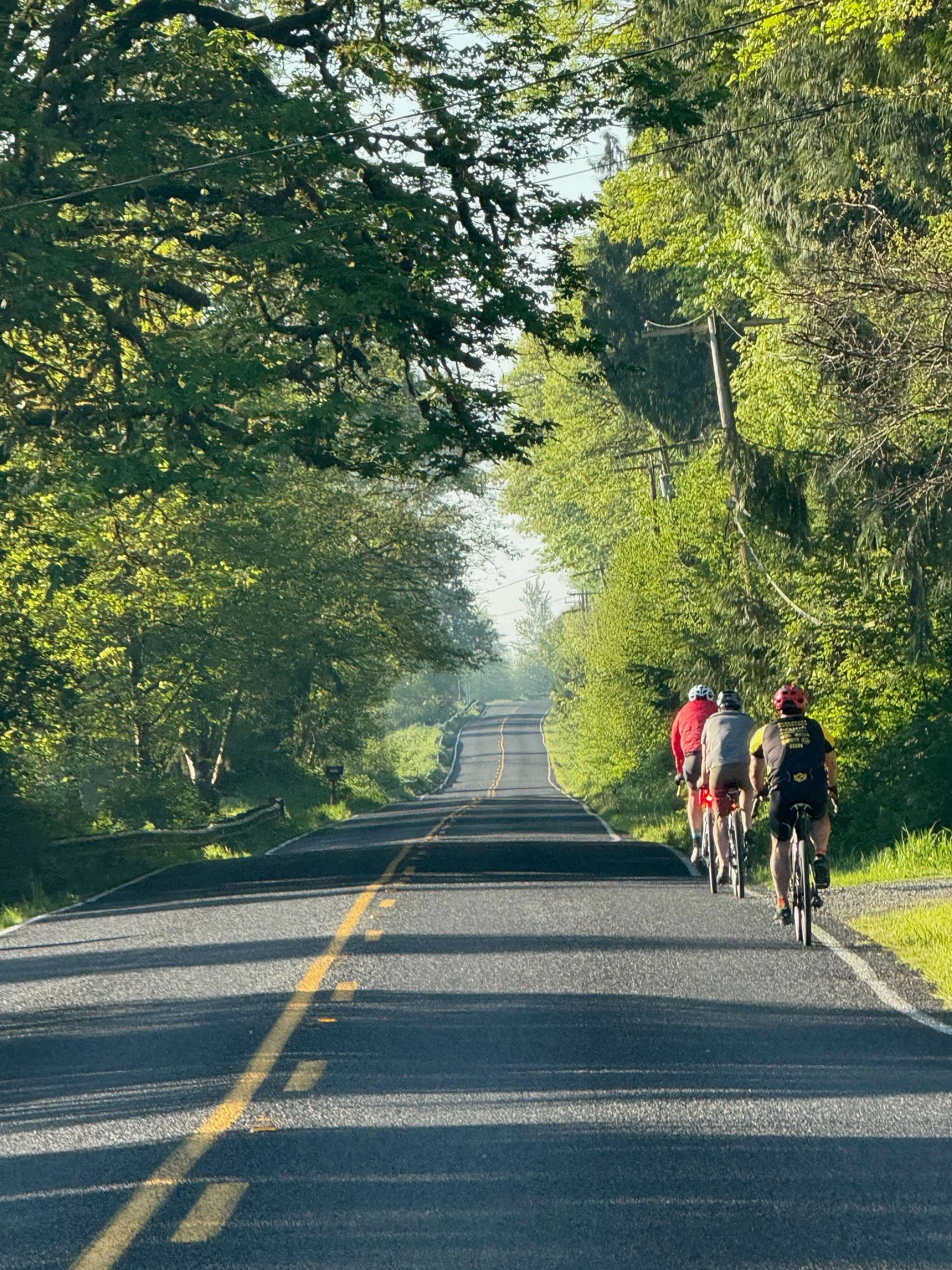 Cyclists riding along a tree-lined road near Indigo Skies Farm in the Snoqualmie Valley
