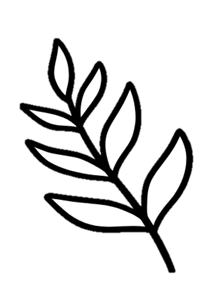 Hand-drawn fern divider used in the organic farming section of the Indigo Skies Farm website