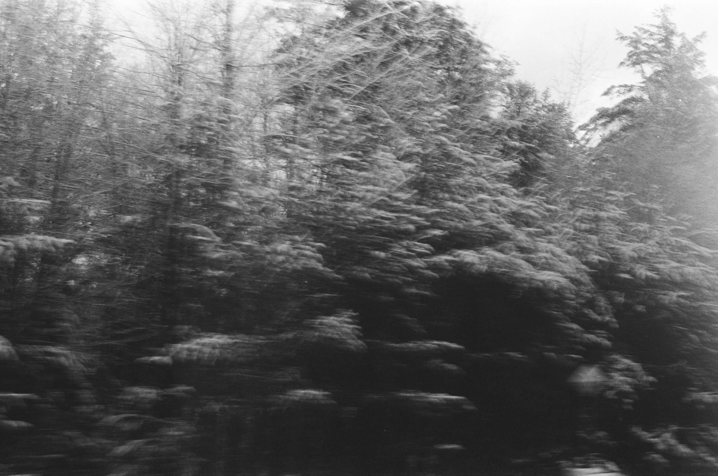 005012760003 copy.jpg