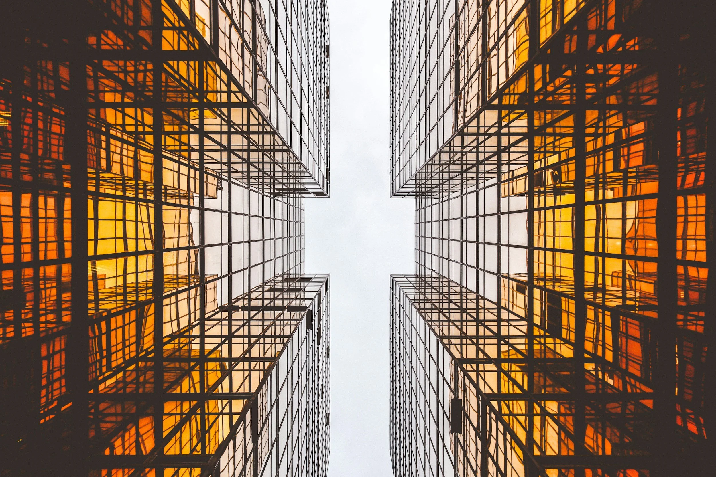 On the Architecture of Thought