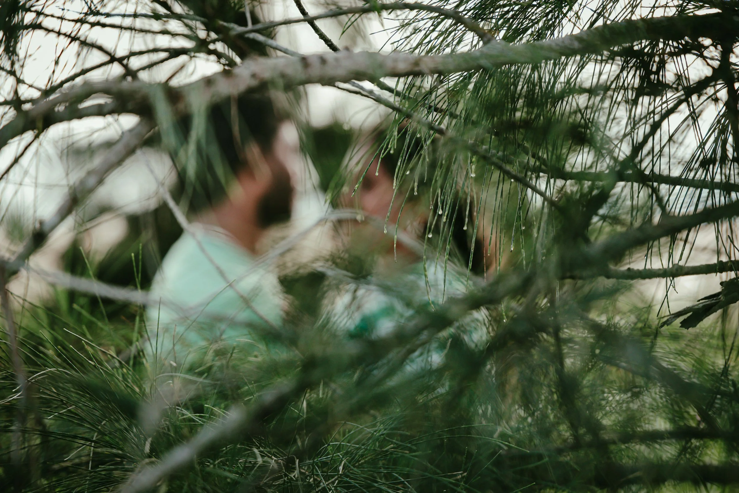 A person with dark hair wearing a light-colored shirt, partially obscured by dense green tree branches and needles, in a forest or wooded area.
