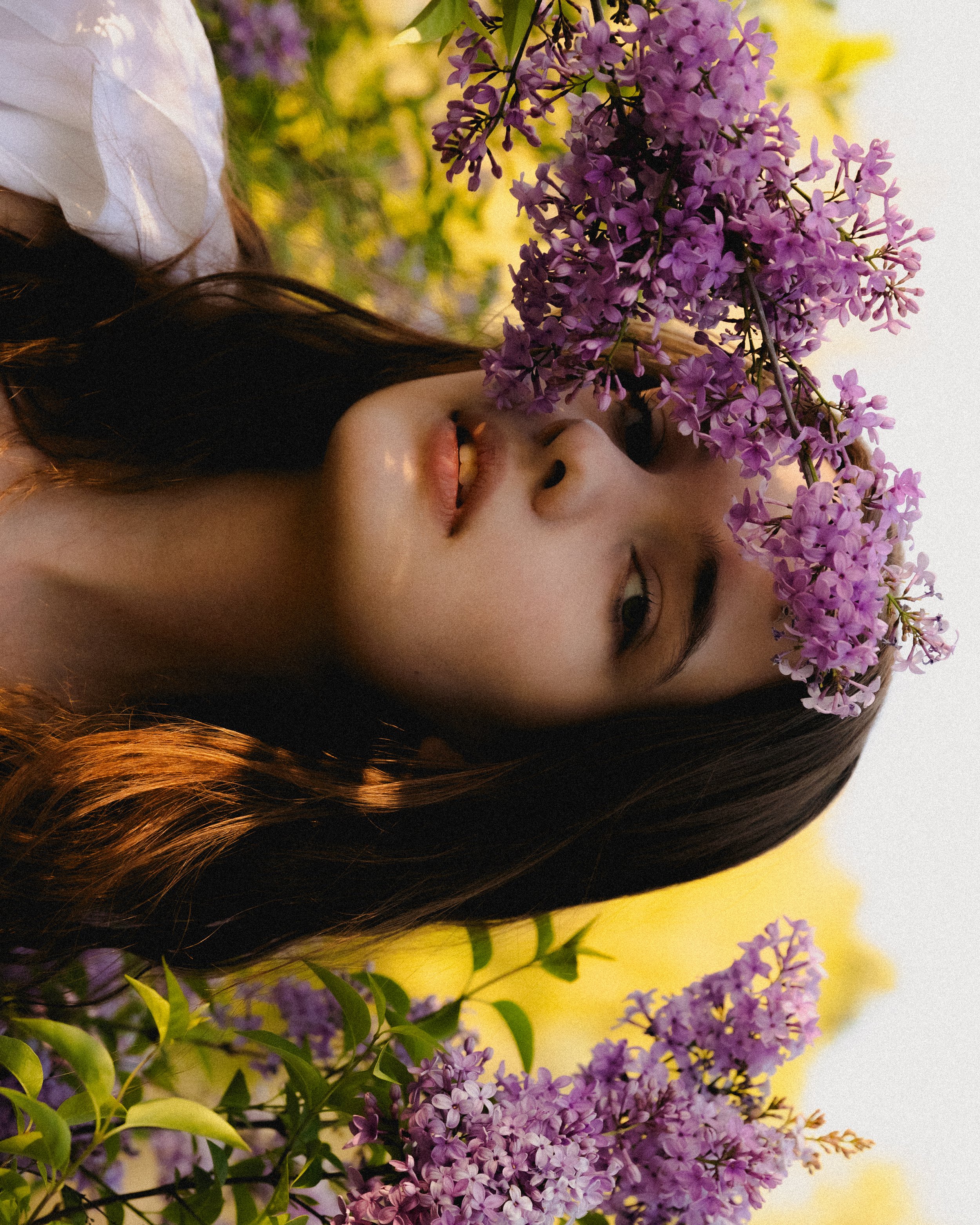 Close-up of a woman's face partially covered by blooming lilac flowers, with her dark hair and eyes visible, and a soft background of yellow and green foliage.