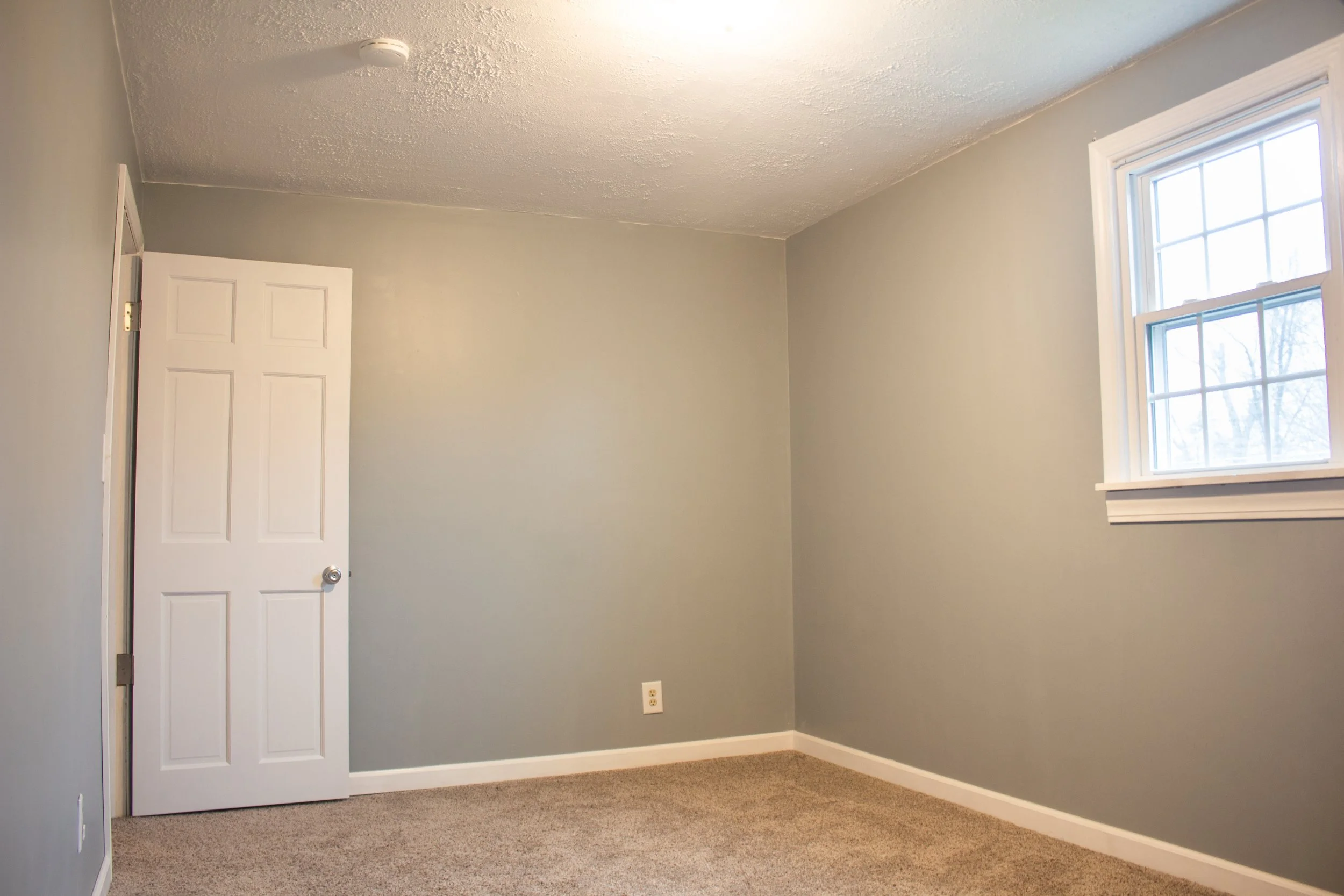 157 carroll ave p20-1.JPG